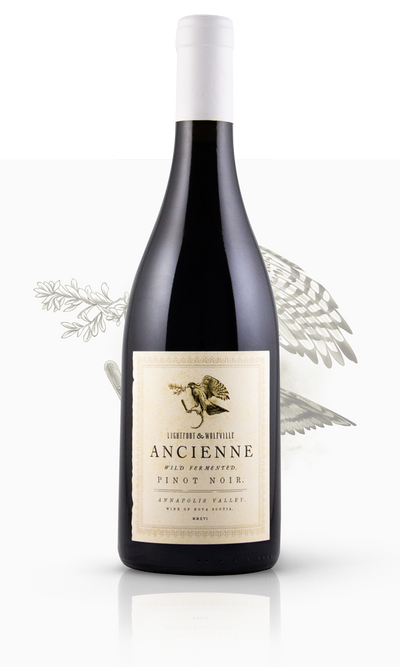 2022 Ancienne Pinot Noir